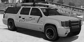 Declasse Lifeguard